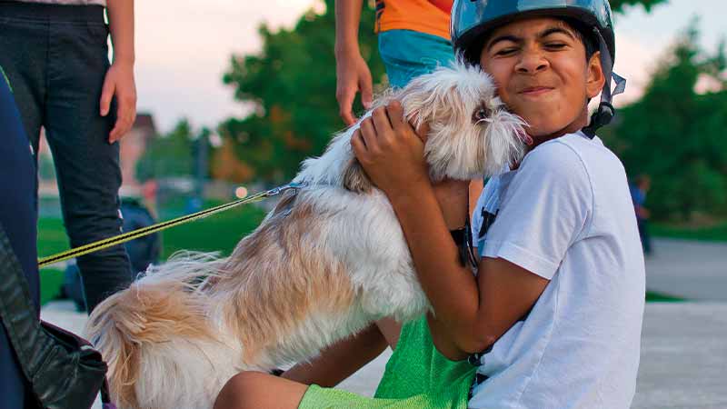 pequeño shih tzu y un niño